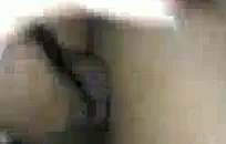 خنثي مع ديك كبيرة على كام.