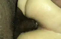 سكس تزاوج حيوانات لحمير في ليابان